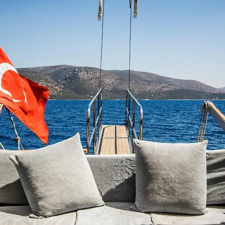 Barbaros Yachting Private Gulet 3 Cabins 船屋 *