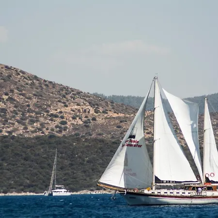 Barbaros Yachting Private Gulet 3 Cabins 船屋 博德鲁姆