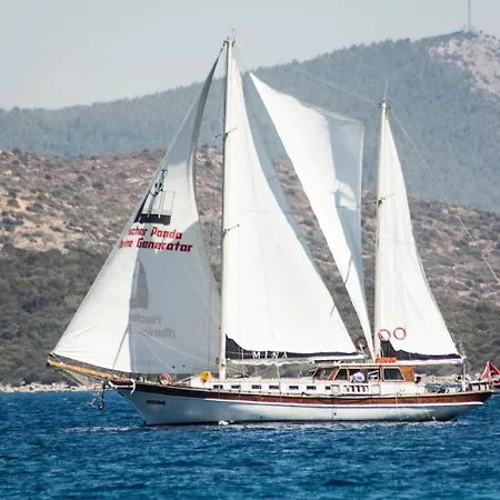 Barbaros Yachting Private Gulet 3 Cabins 博德鲁姆