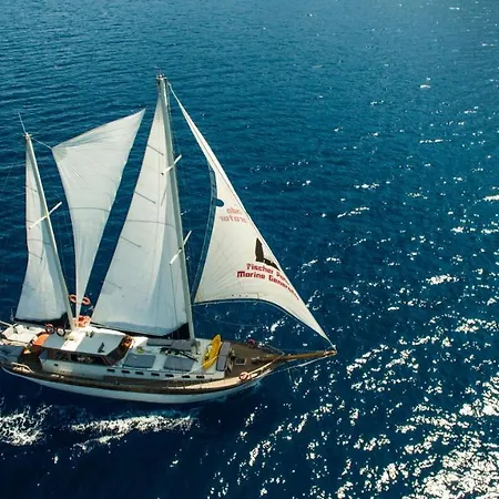 Barbaros Yachting Private Gulet 3 Cabins 船屋 *