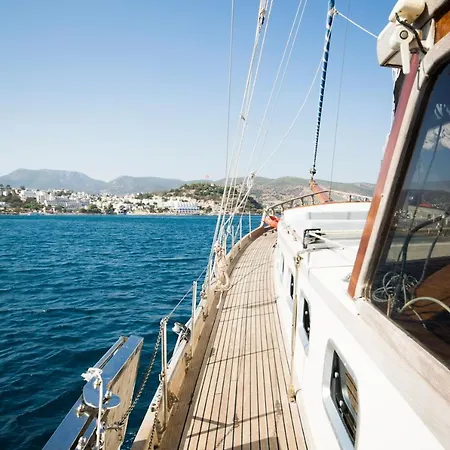 Barbaros Yachting Private Gulet 3 Cabins 船屋 *