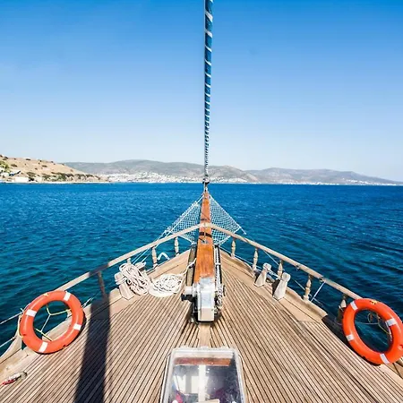 Barbaros Yachting Private Gulet 3 Cabins 博德鲁姆